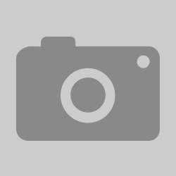 RENEWAL Local Government Communicator